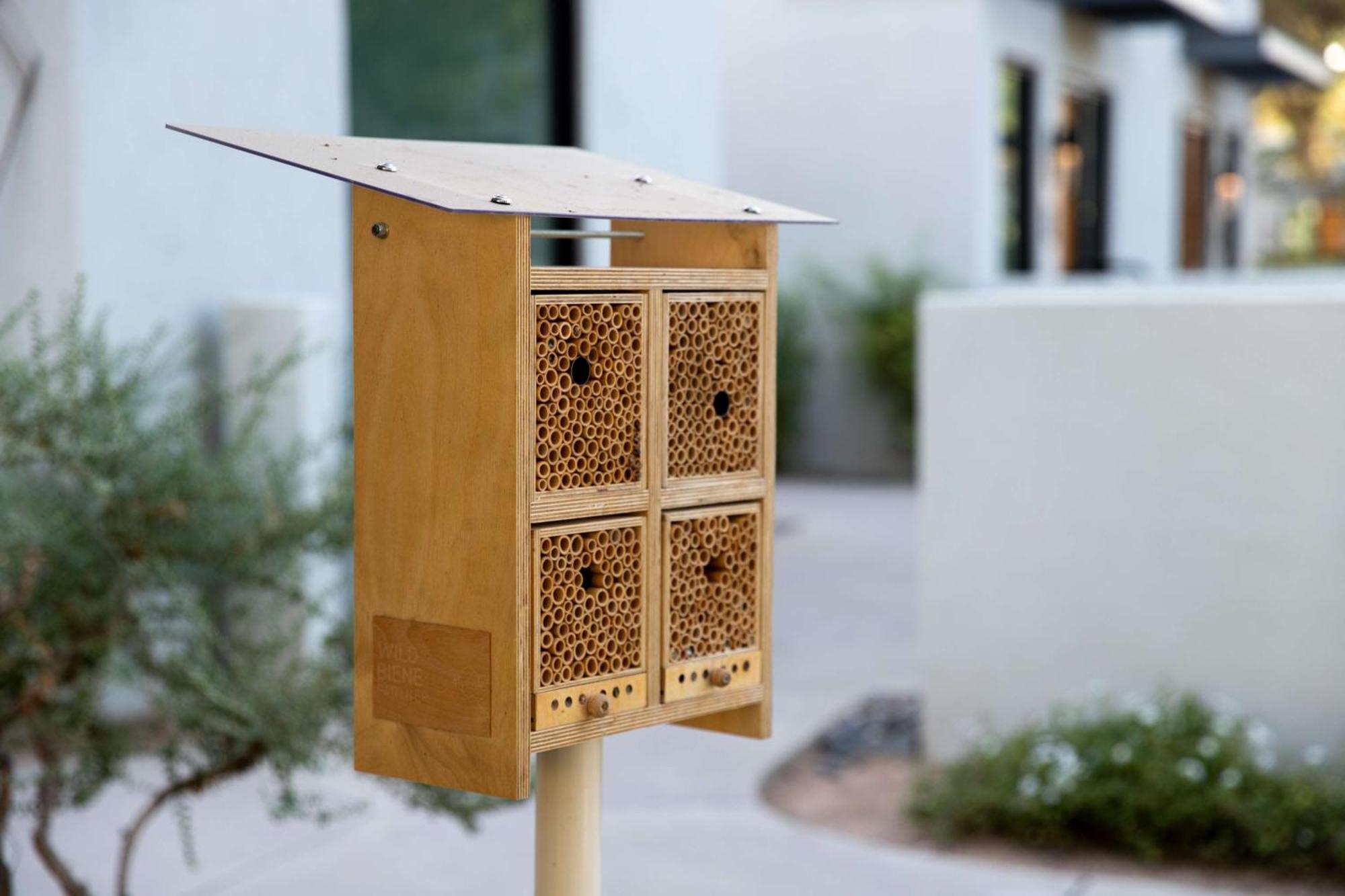 Andaz Scottsdale Resort&Bungalows Esterno foto