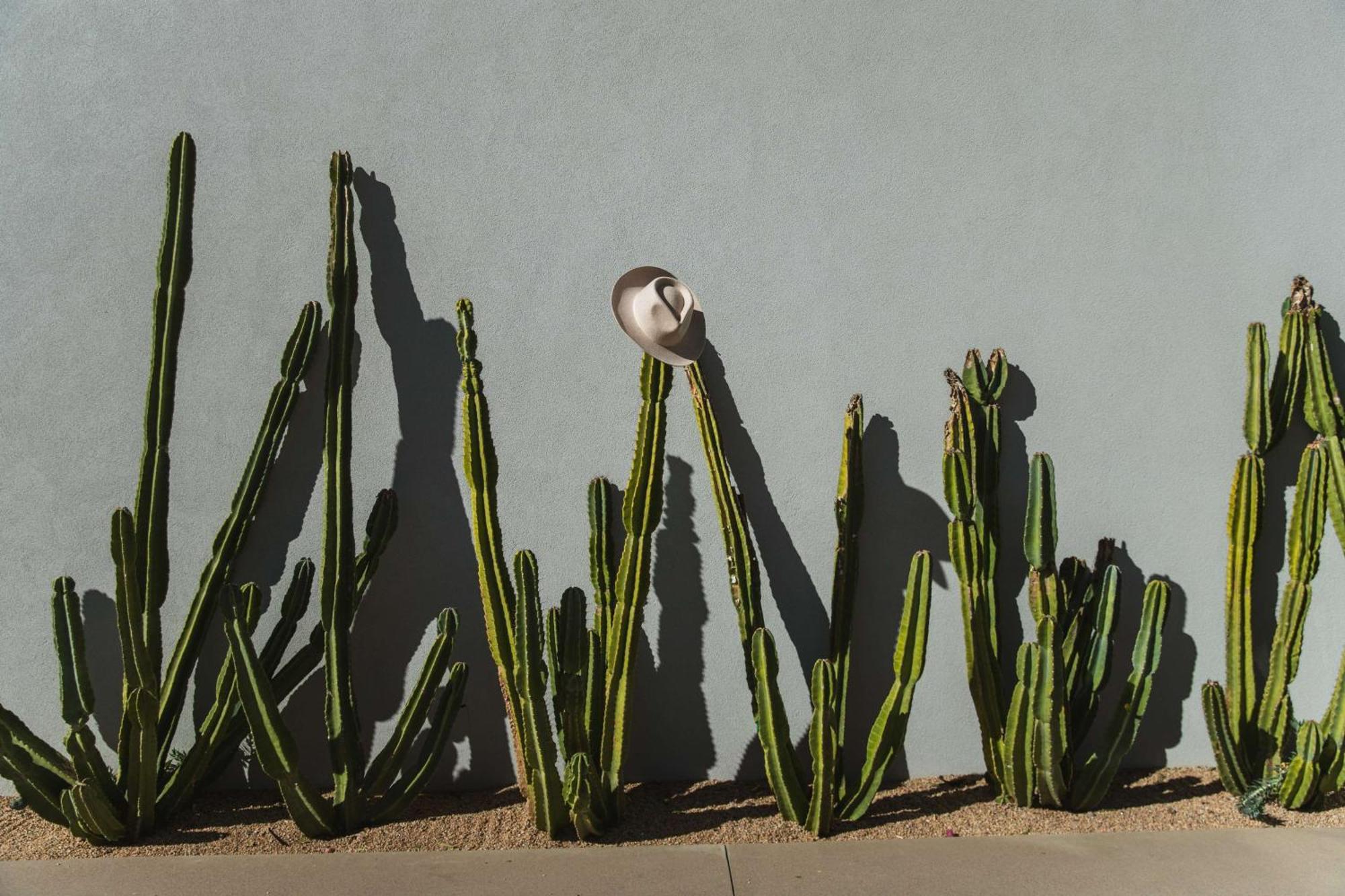Andaz Scottsdale Resort&Bungalows Esterno foto
