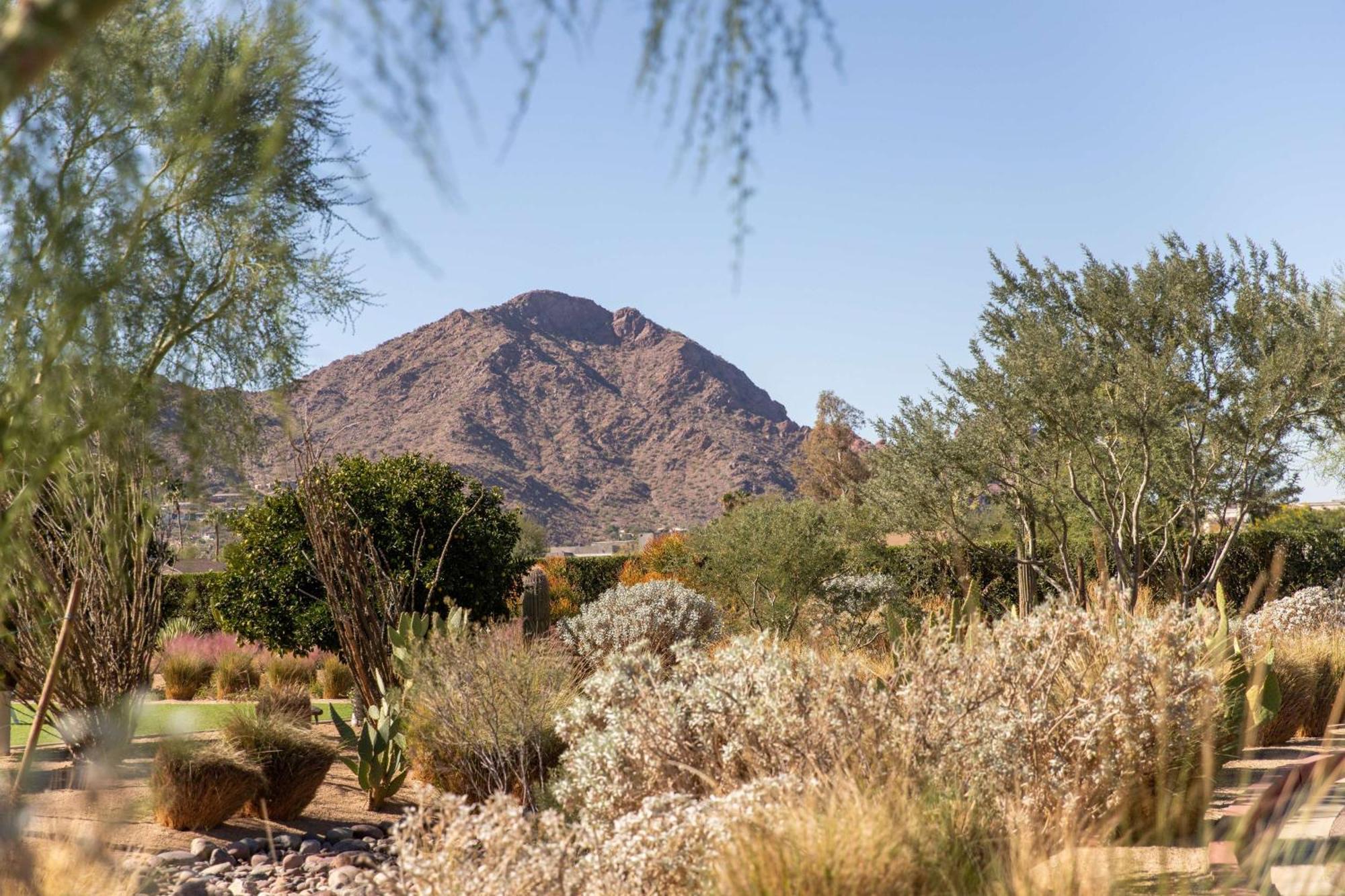 Andaz Scottsdale Resort&Bungalows Esterno foto